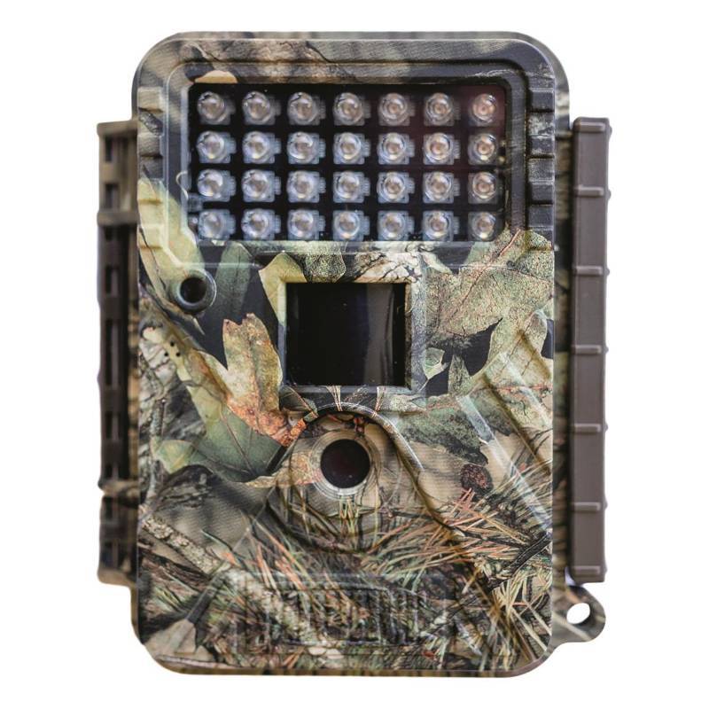 Sportsman 211