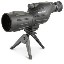 Sportsman 211
