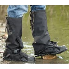 Sportsman 211
