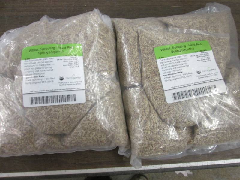 2 - 5lb Spring Sprouting Wheat Hard...