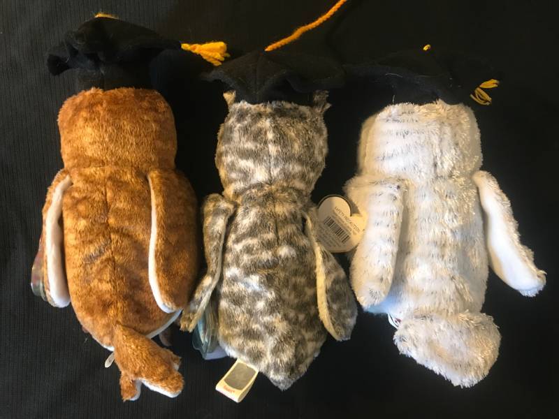lot 42 image: TY Beanie Babies Wisest, Smart and Class of 2004 
