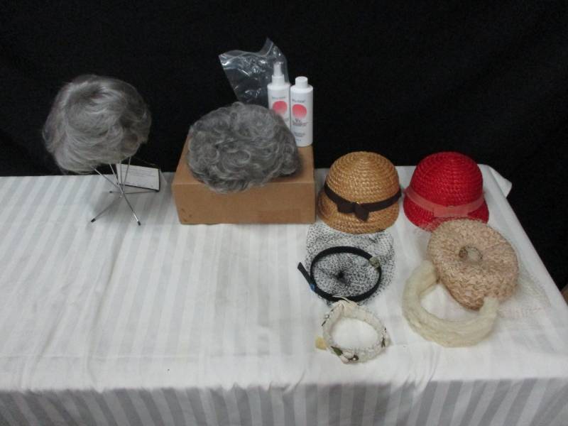 lot 83 image: Wigs, Hats, Shampoo, Conditioner
