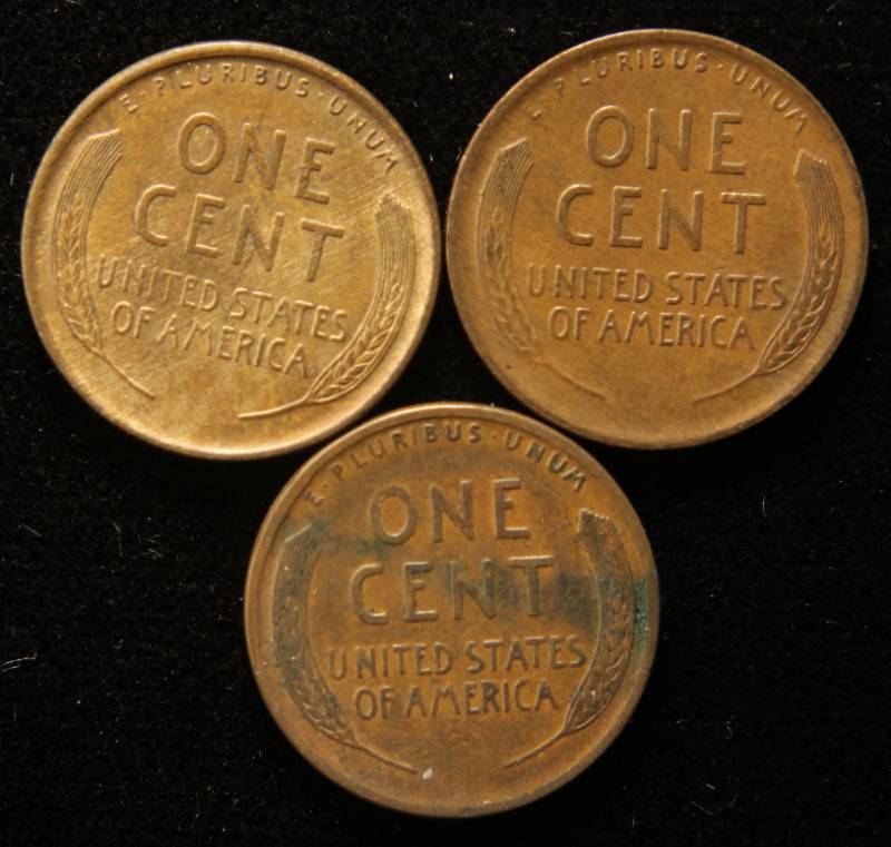 lot 15 image: 3 EARLY DATE WHEAT CENTS 1909 1910 1911 F-AU
