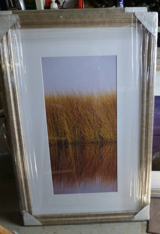 lot 42 image: 4 grass pictures, glass frame, 27x4...
