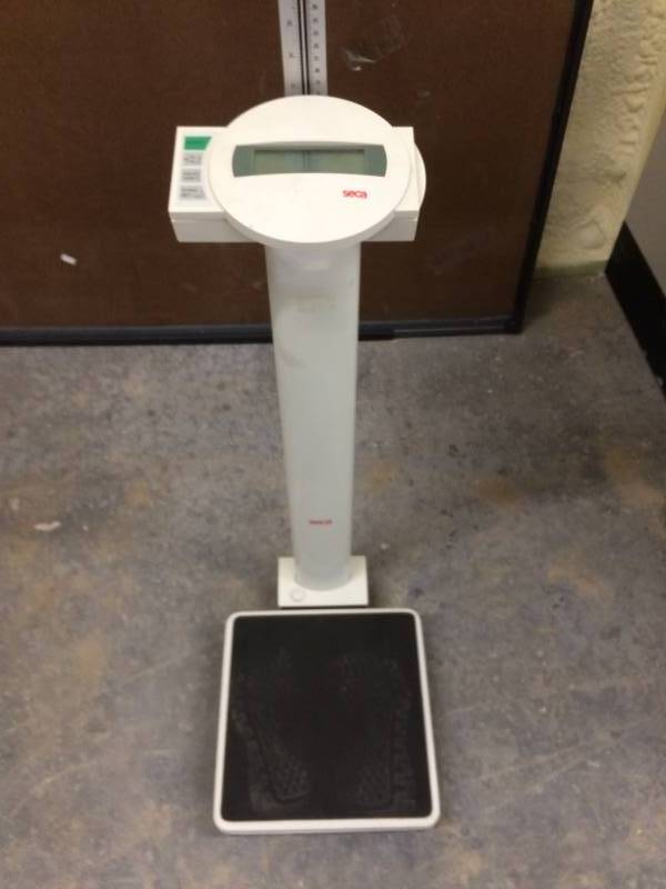 lot 52 image: Seca Digital Scale - Excellent Working Condition