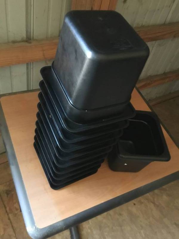 Lot of 10 - 16 Cambro black containers