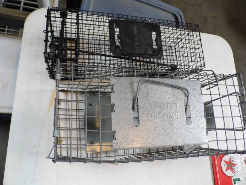 lot 45 image: Live Traps