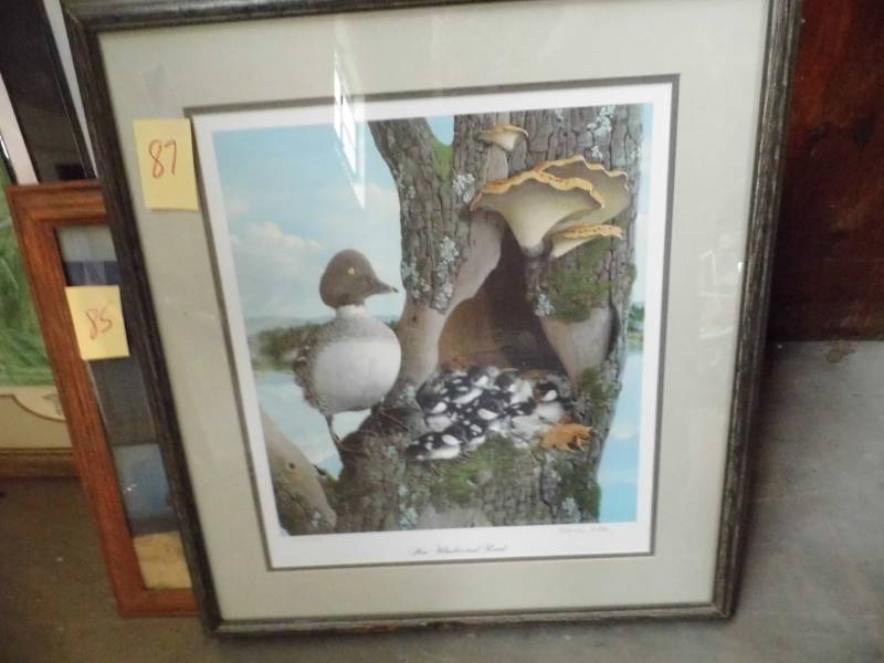 lot 87 image: Duck Picture