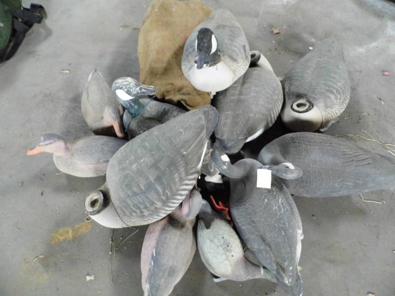 lot 205 image: Assorted Goose Decoys