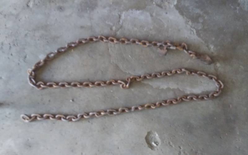 lot 56 image: 10 Ft Chain With 1-Hook