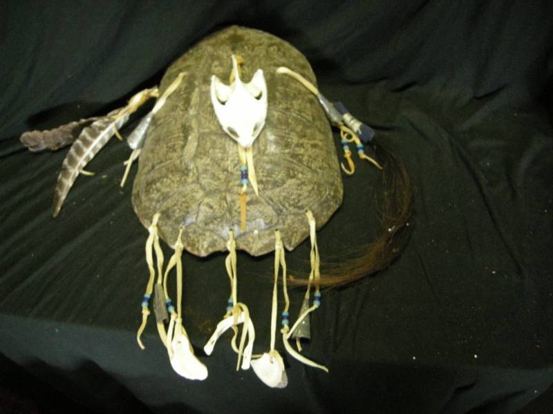 lot 86 image: Large Native American Turtle Shell