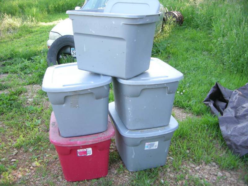 lot 150 image: 5 Sterlite Storage Totes