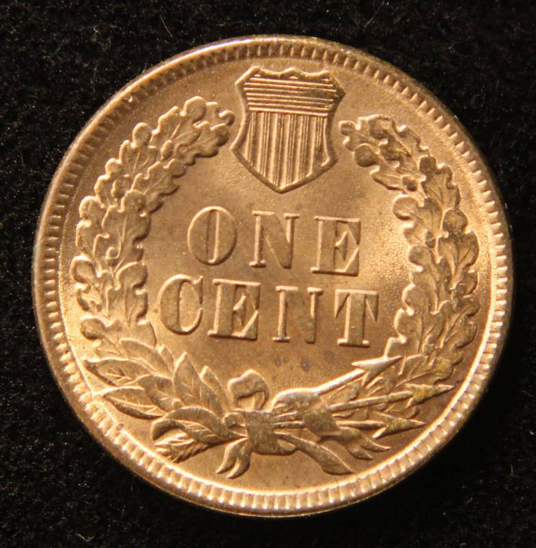 lot 19 image: 1896 INDIAN HEAD CENT SHARP BU RED