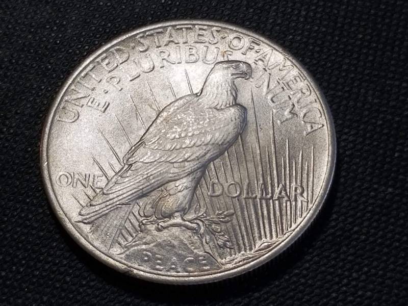 lot 17 image: 1925 PEACE SILVER DOLLAR BU