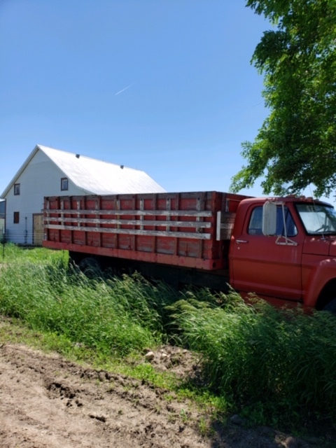 lot 68 image: 1972 Ford F600 Grain Truck