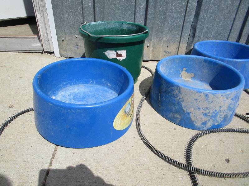 lot 76 image: Heated Water dishes