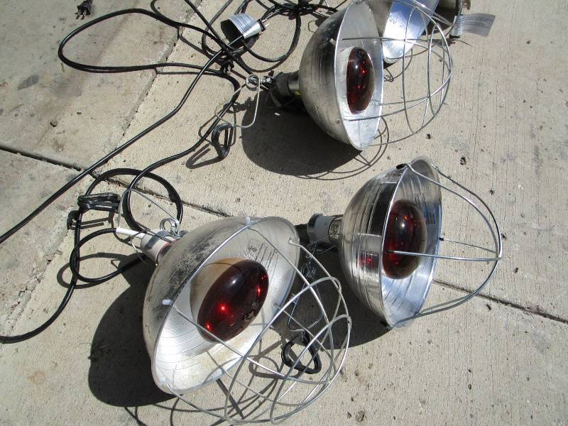 lot 79 image: (5) Heat Lamps