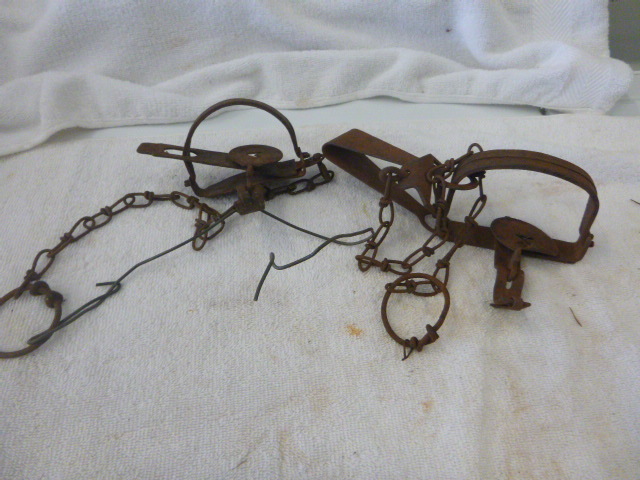 lot 36 image: Hunting Traps
