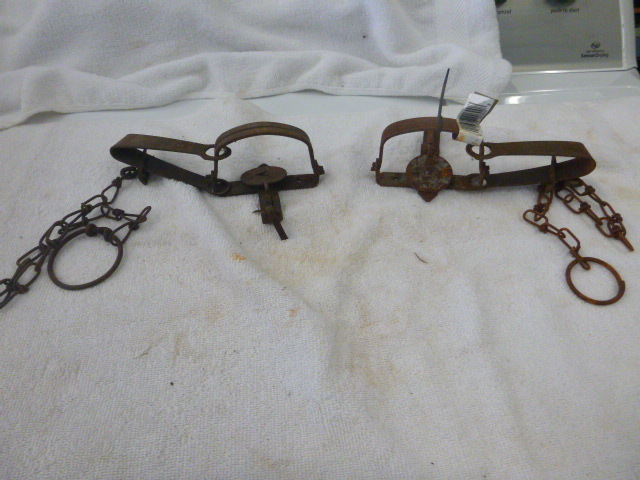 lot 37 image: Hunting Traps