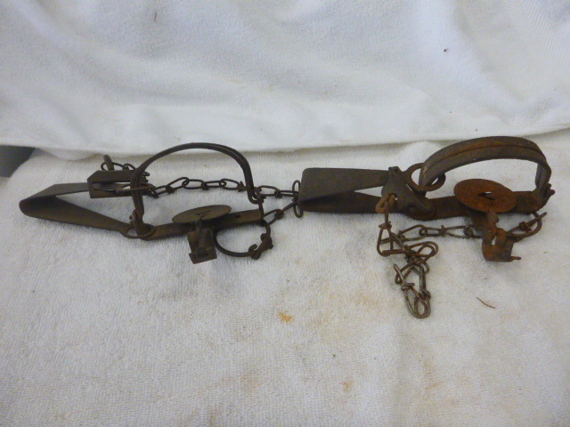 lot 39 image: Hunting Traps