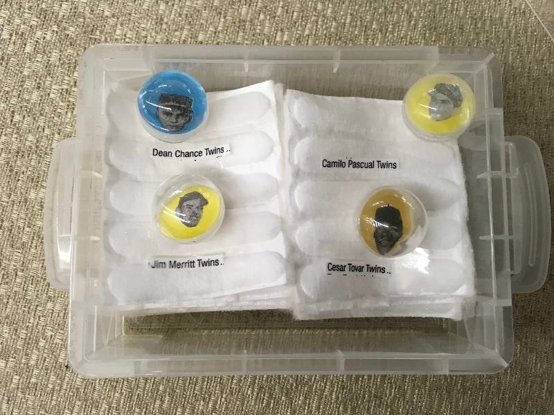 Minnesota Twins Marbles