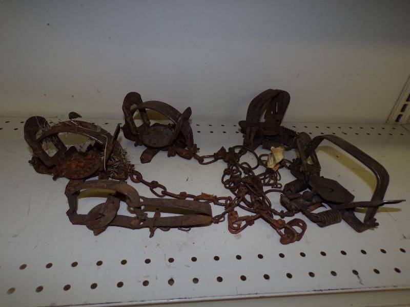 lot 91 image: 5 Traps