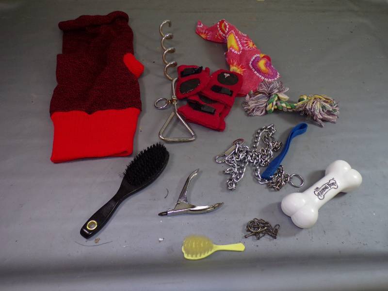 lot 123 image: 12 Dog Items, Leash, Sweater, collars, etc.