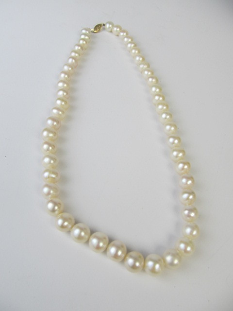 lot 284 image: Genuine Freshwater Pearl Necklace w 14K Gold Clasp