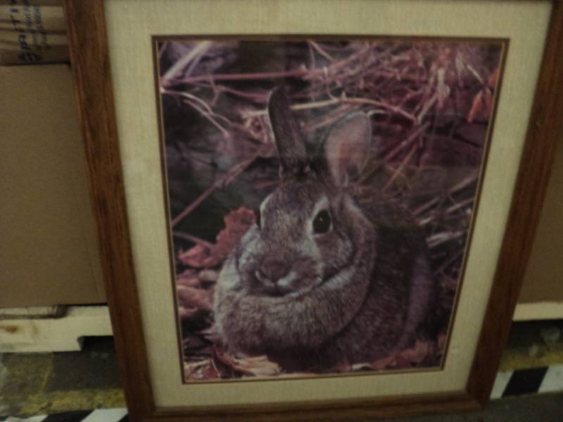 lot 289 image: 23 x 27 print...