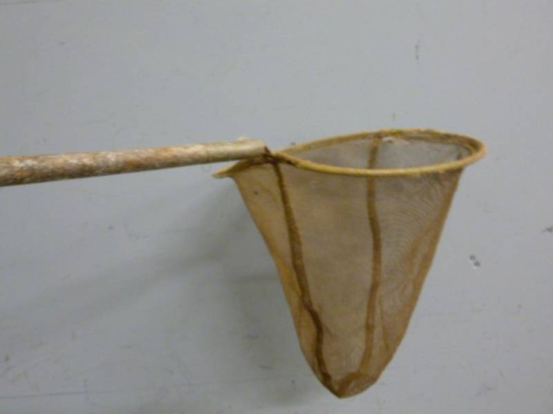 lot 51 image: Vintage Grasshopper Net