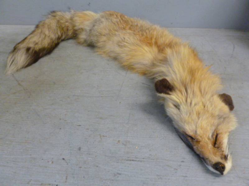 lot 71 image: Fox Pelt
