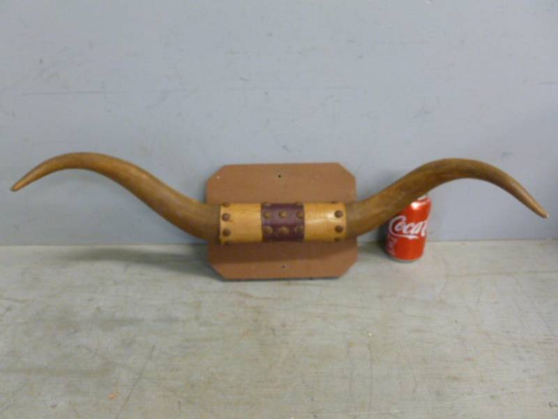 lot 96 image: Bull Horns