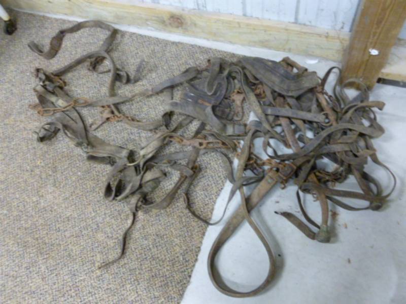 lot 213 image: Antique Horse Equipment