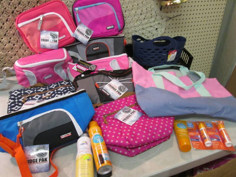 lot 99 image: Lot of Assorted Insulated Fridge Pa...