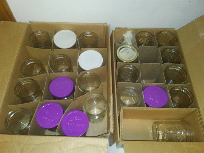 lot 146 image: 23 jelly jars for canning, ball and Kerr.