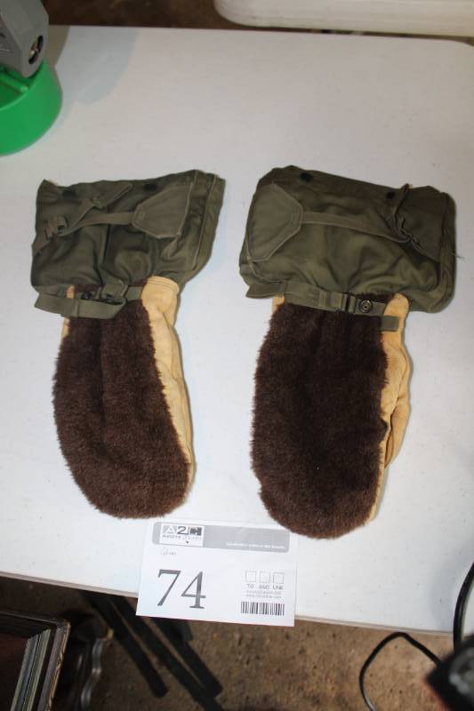 lot 74 image: Pair of Ski Mittens