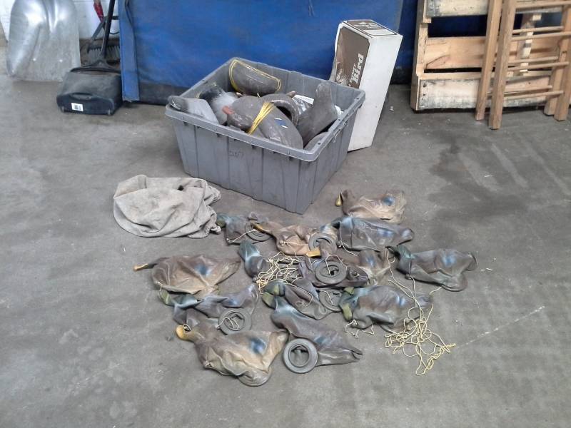 lot 854 image: Lot of (24) Duck Decoys