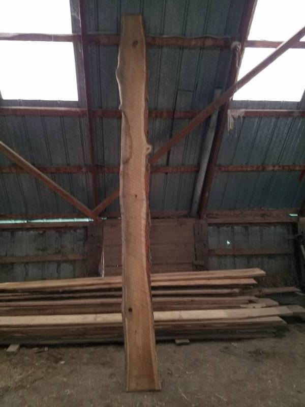 lot 67 image: 11 foot long Rough Cut Oak Lumber with 2 live edges