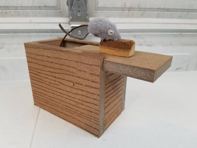lot 96 image: Mouse in a box