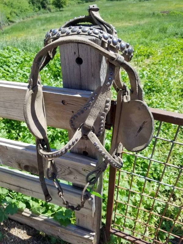 lot 142 image: Leather Spotted Bridle w Snaffel Bit