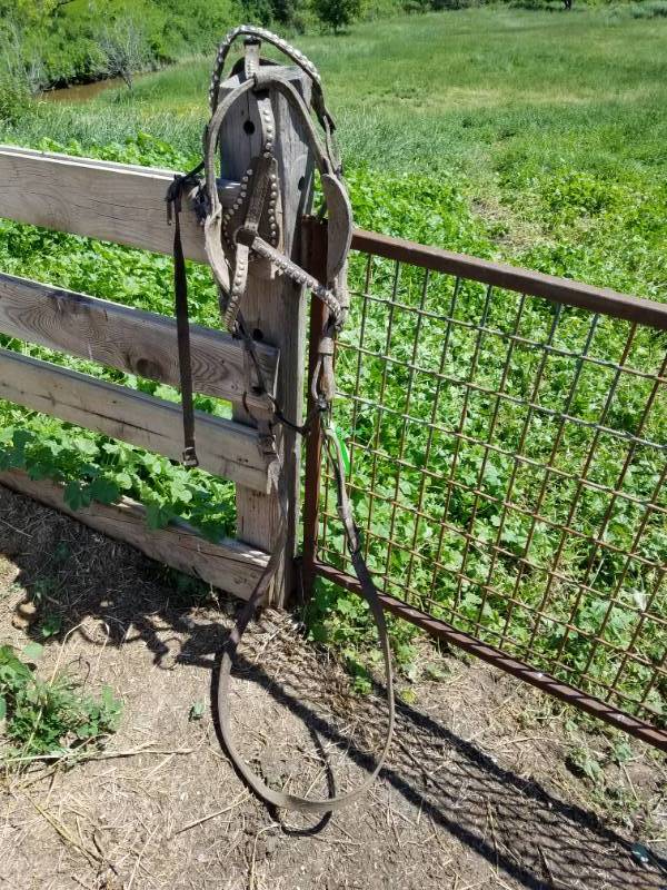 lot 147 image: Many Spotted Horse Bridle