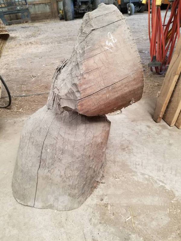 lot 158 image: Beaver Oak Stump for Yard Art
