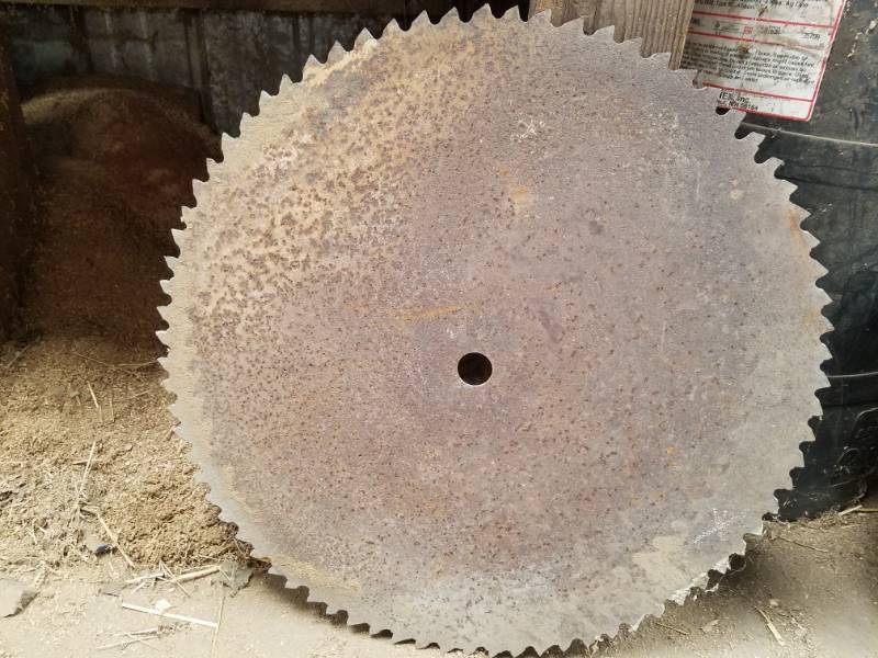 lot 161 image: Vintage Saw Blades