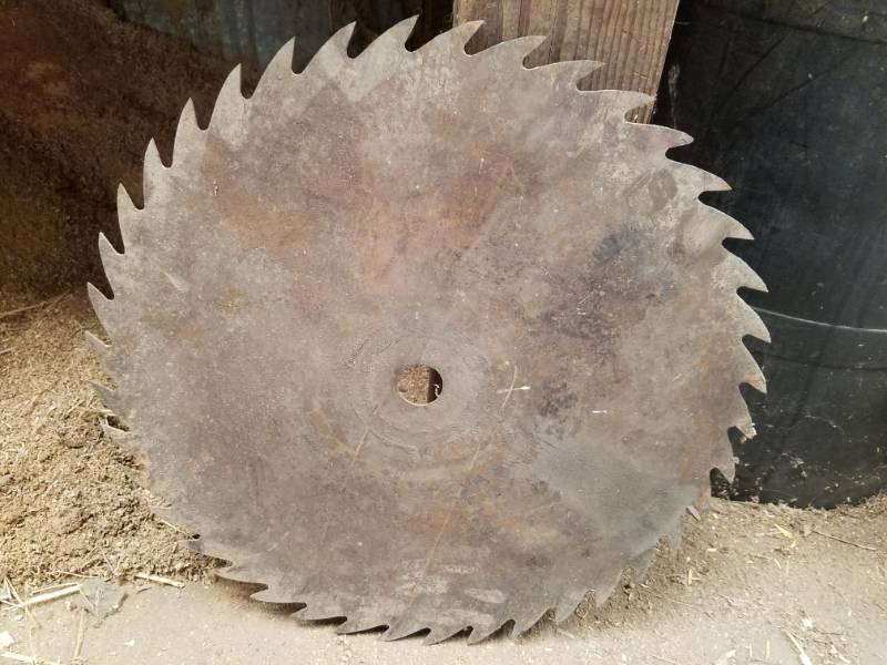 lot 163 image: Vintage Saw Blades