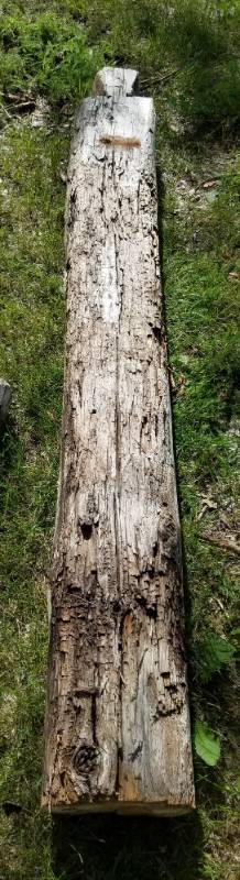 lot 221 image: Reclaimed log cabin wood various types of wood