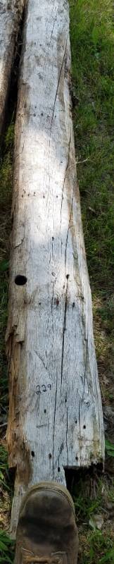 lot 229 image: Reclaimed log cabin wood various types of wood