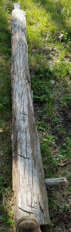 lot 230 image: Reclaimed log cabin wood various types of wood