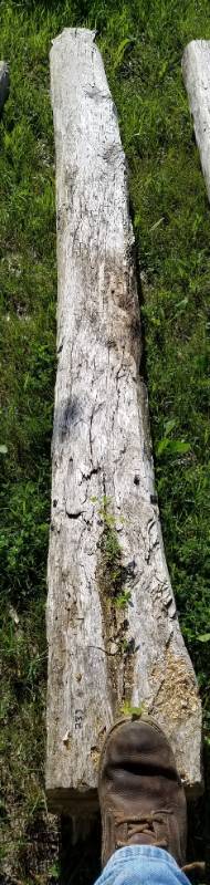 lot 233 image: Reclaimed log cabin wood various types of wood