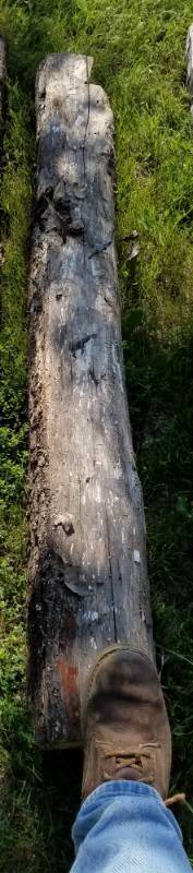 lot 239 image: Reclaimed log cabin wood various types of wood