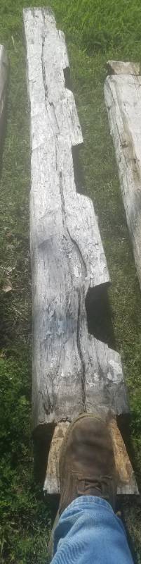 lot 244 image: Reclaimed log cabin wood various types of wood
